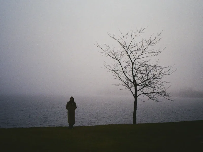 Silhouette in fog